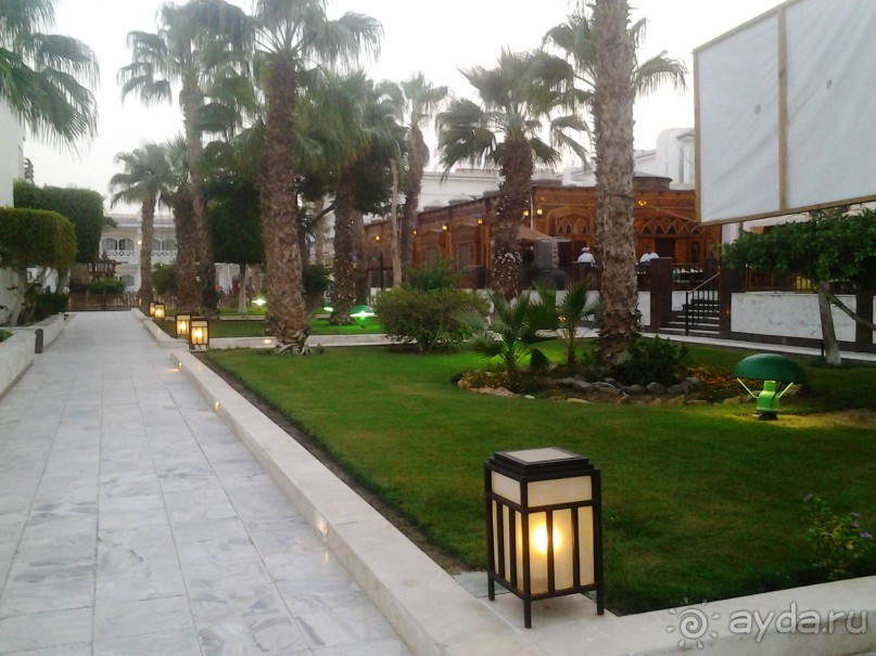 Не ходите, дети, в Африку гулять!