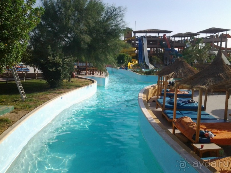 Не ходите, дети, в Африку гулять!