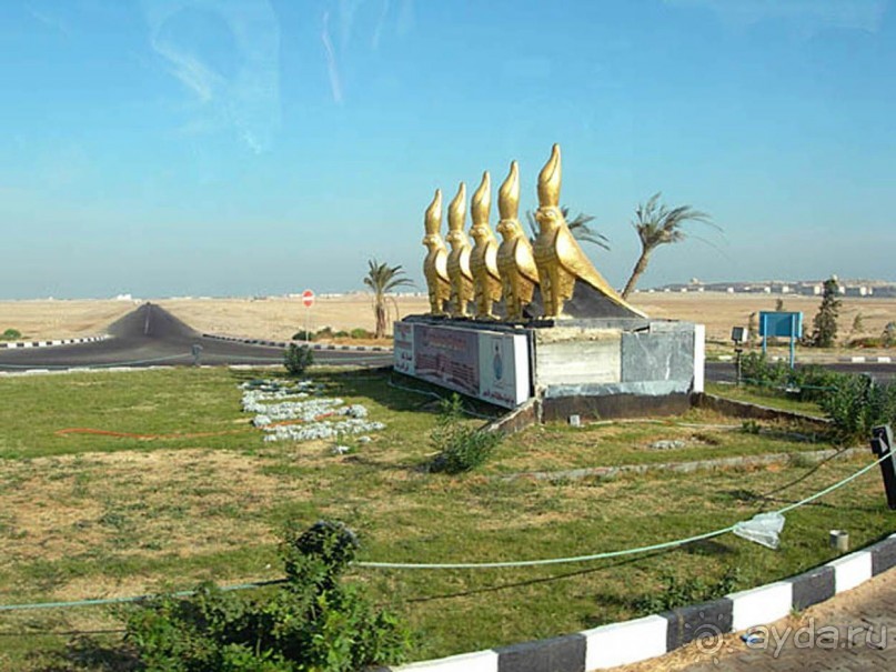 Не ходите, дети, в Африку гулять!