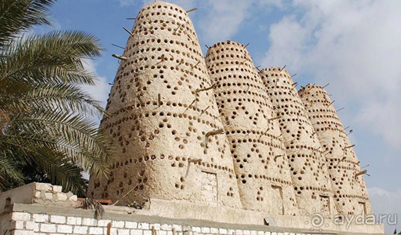 Не ходите, дети, в Африку гулять!