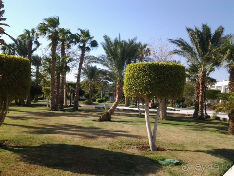 Не ходите, дети, в Африку гулять!