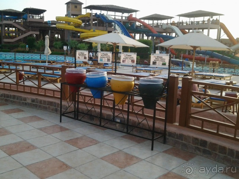 Не ходите, дети, в Африку гулять!