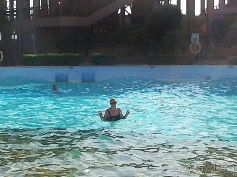 Не ходите, дети, в Африку гулять!