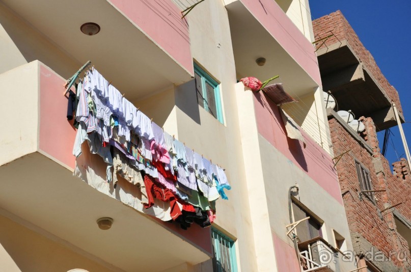 Не ходите, дети, в Африку гулять!