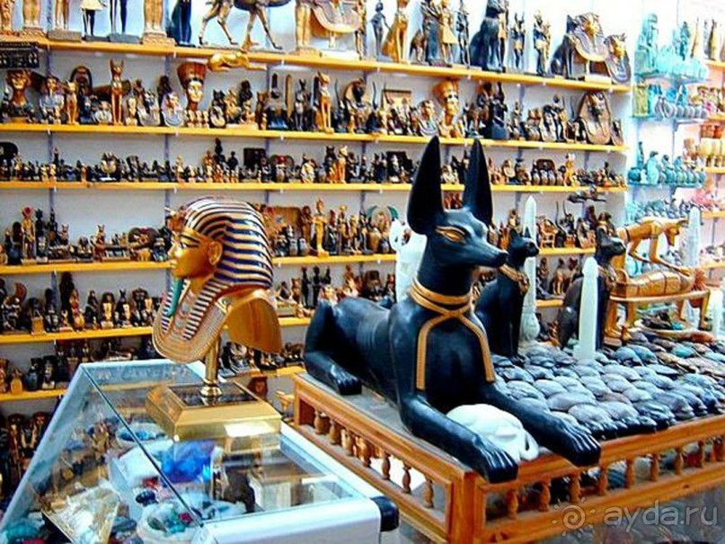 Не ходите, дети, в Африку гулять!