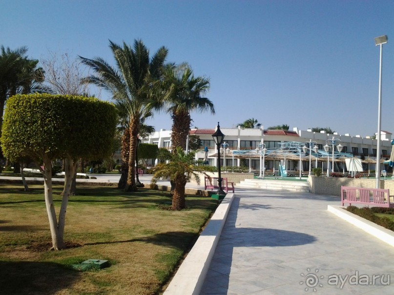 Не ходите, дети, в Африку гулять!