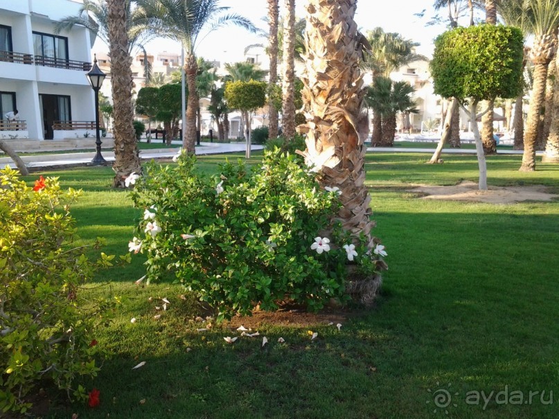 Не ходите, дети, в Африку гулять!