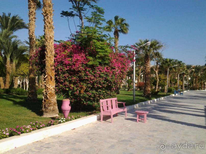 Не ходите, дети, в Африку гулять!