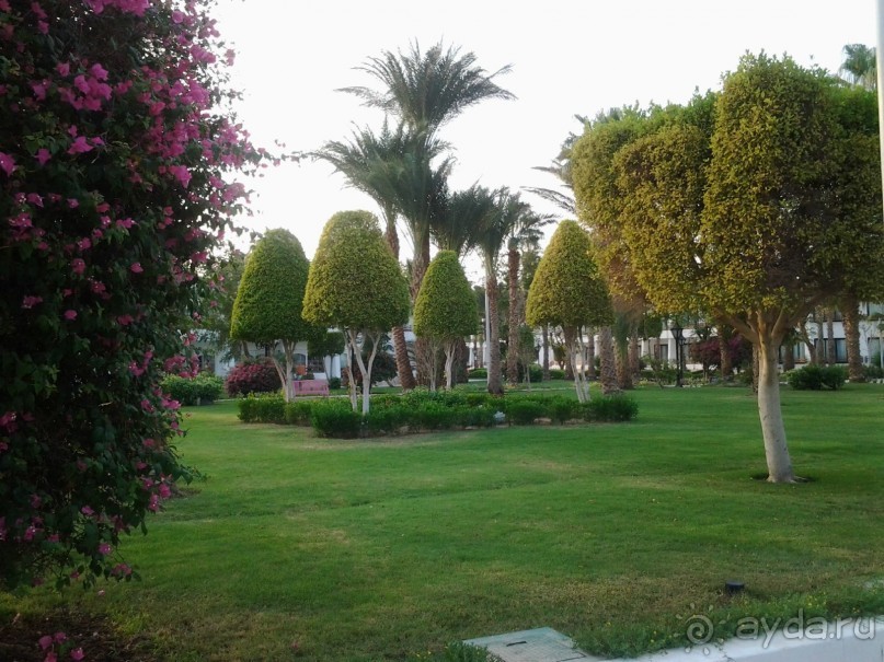 Не ходите, дети, в Африку гулять!