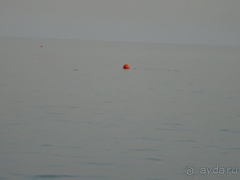 Не ходите, дети, в Африку гулять!