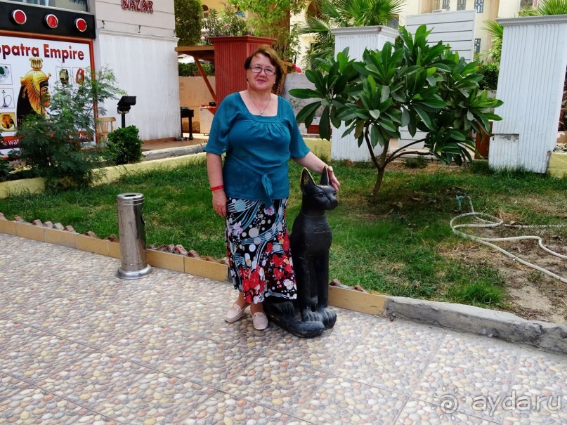 Не ходите, дети, в Африку гулять!