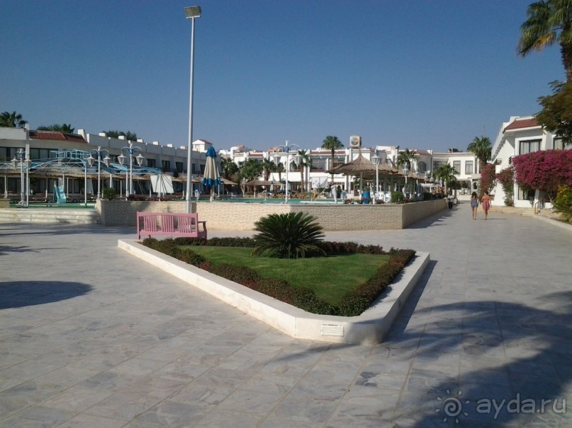 Не ходите, дети, в Африку гулять!