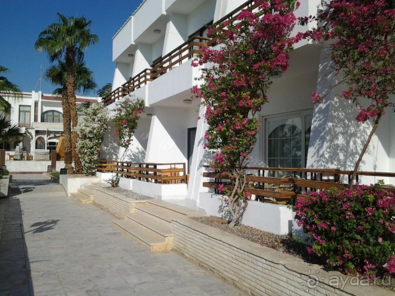 Не ходите, дети, в Африку гулять!