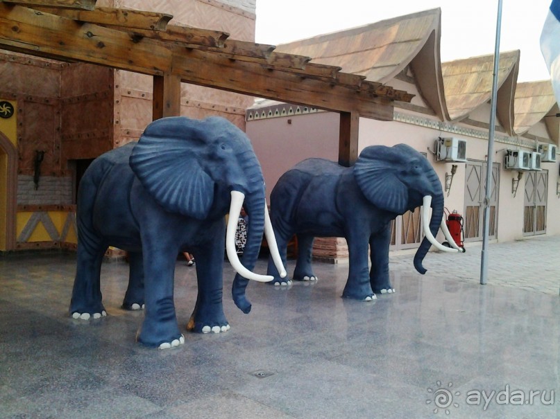 Не ходите, дети, в Африку гулять!