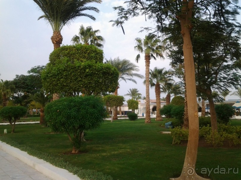 Не ходите, дети, в Африку гулять!