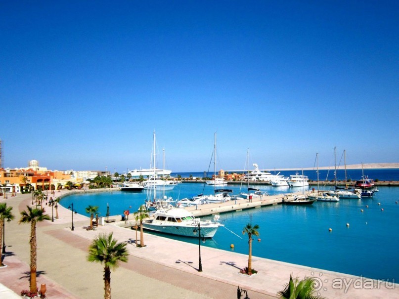 Не ходите, дети, в Африку гулять!