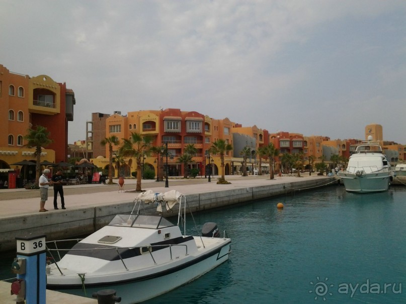 Не ходите, дети, в Африку гулять!