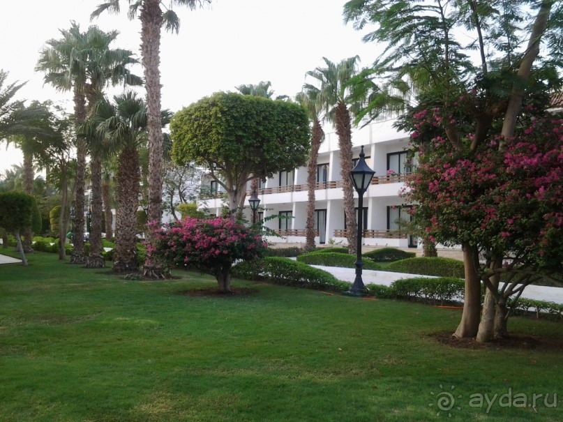 Не ходите, дети, в Африку гулять!