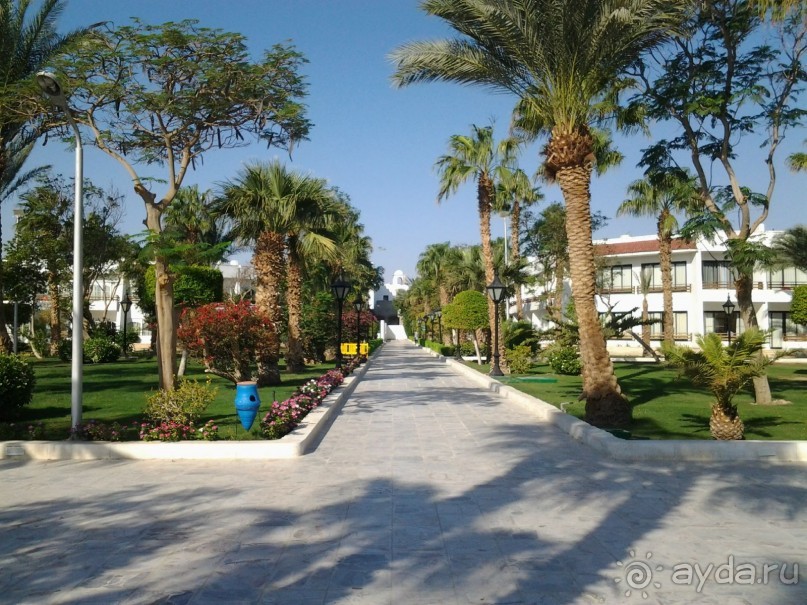 Не ходите, дети, в Африку гулять!