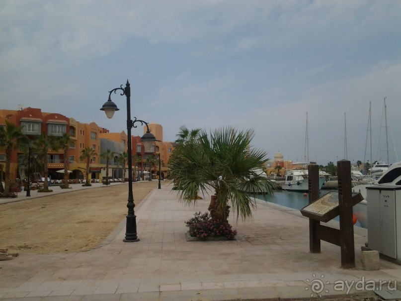 Не ходите, дети, в Африку гулять!