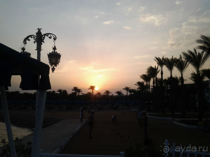 Не ходите, дети, в Африку гулять!