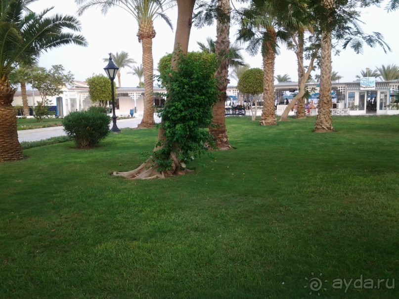 Не ходите, дети, в Африку гулять!