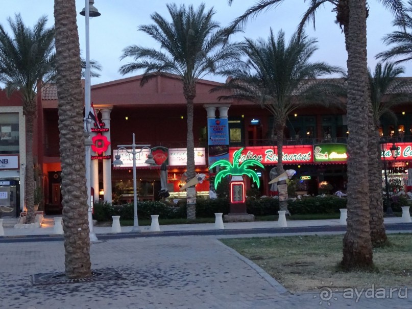 Не ходите, дети, в Африку гулять!