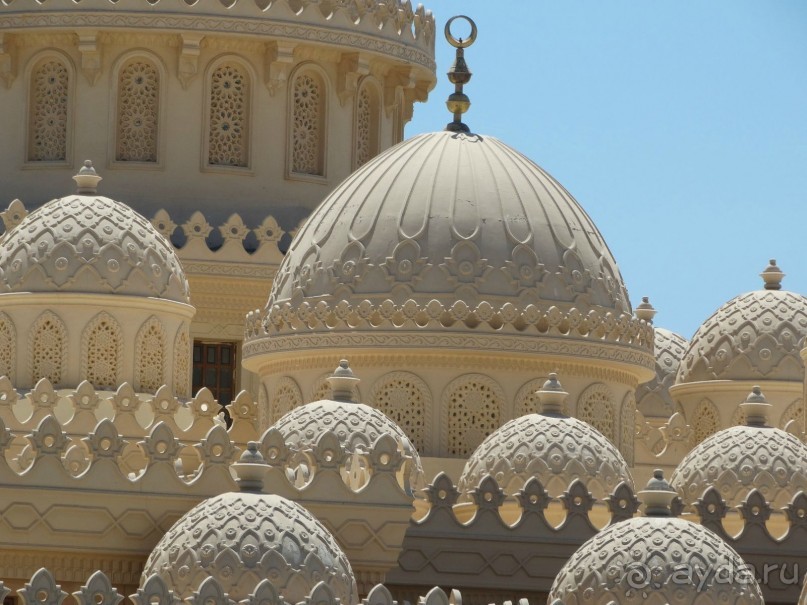 Не ходите, дети, в Африку гулять!