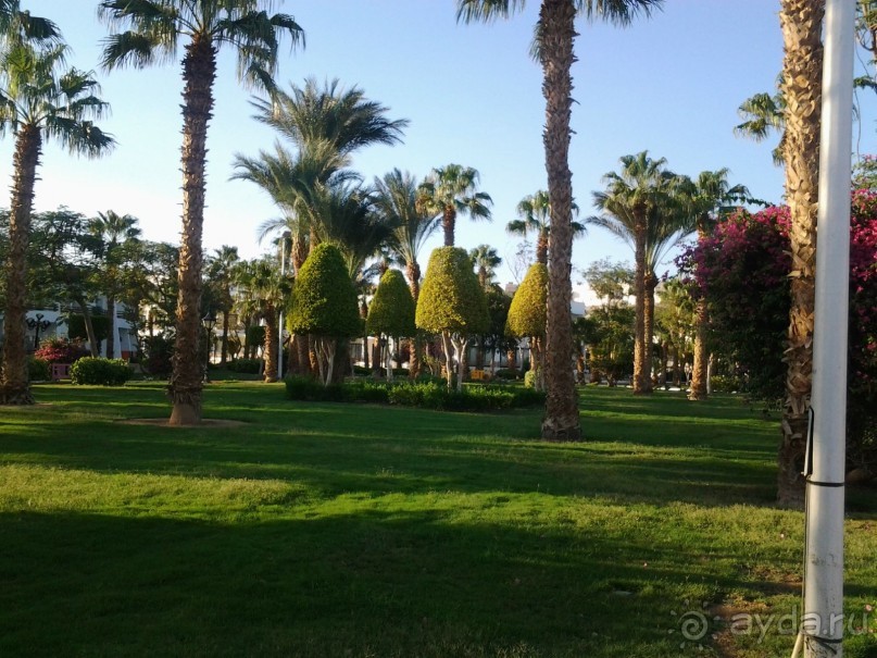 Не ходите, дети, в Африку гулять!