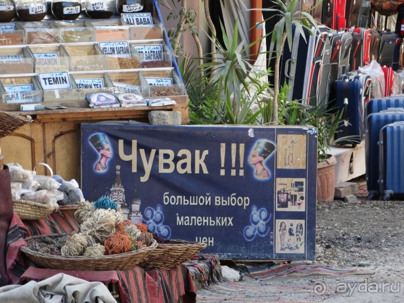 Не ходите, дети, в Африку гулять!