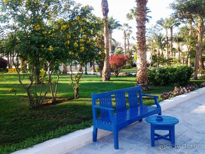 Не ходите, дети, в Африку гулять!