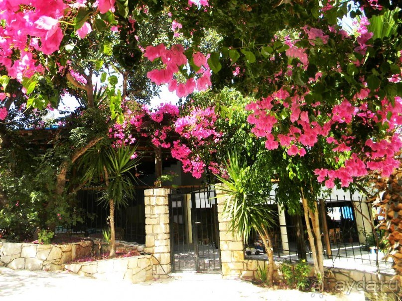 Очень бюджетно и очень средненько