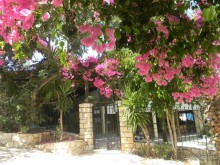 Территория отеля.