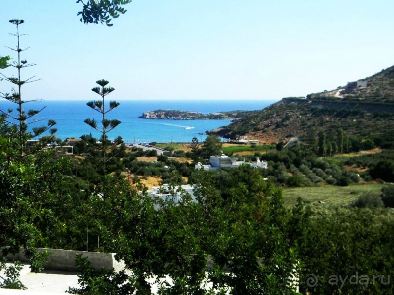 Очень бюджетно и очень средненько