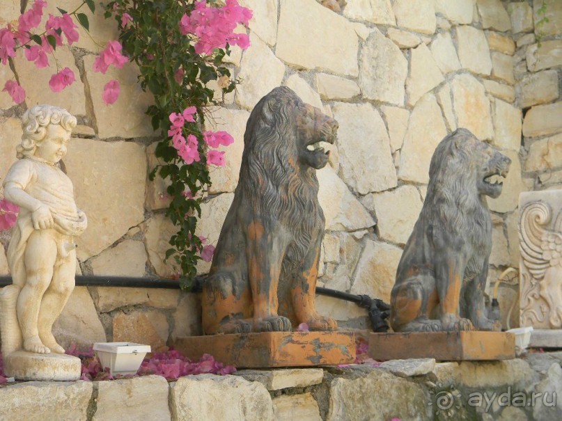 Территория отеля.