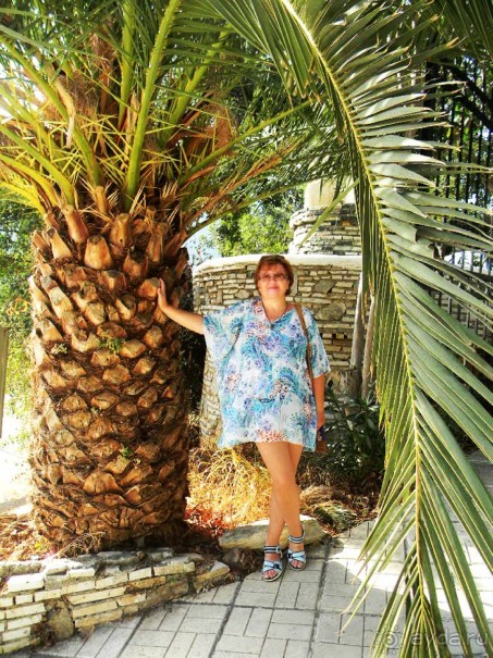 Очень бюджетно и очень средненько