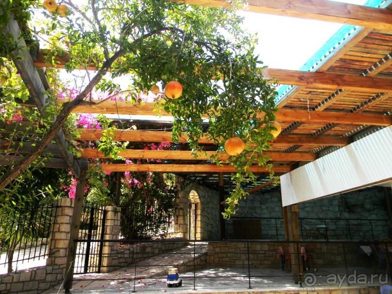 Очень бюджетно и очень средненько