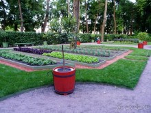 Алые Паруса и еще немного из Санкт-Петербурга.