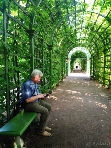 Алые Паруса и еще немного из Санкт-Петербурга.