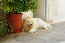 Самостоятельная экскурсия в Ретимно. о.Крит. Греция