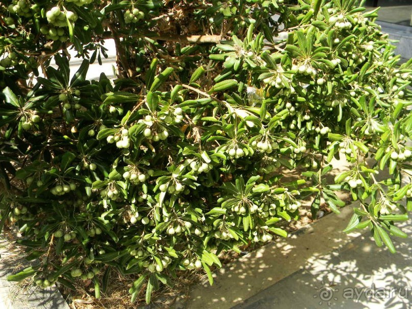 Самостоятельная экскурсия в Ретимно. о.Крит. Греция