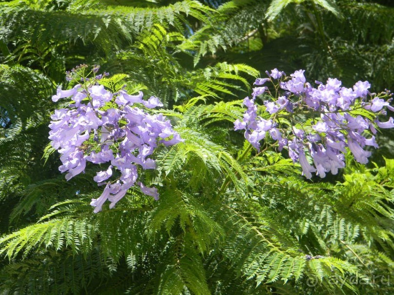 Самостоятельная экскурсия в Ретимно. о.Крит. Греция