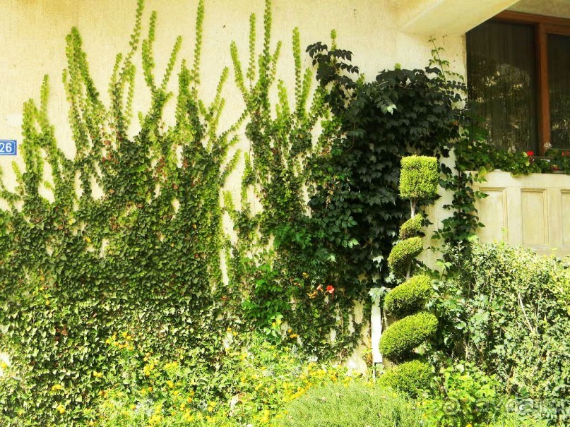 Самостоятельная экскурсия в Ретимно. о.Крит. Греция