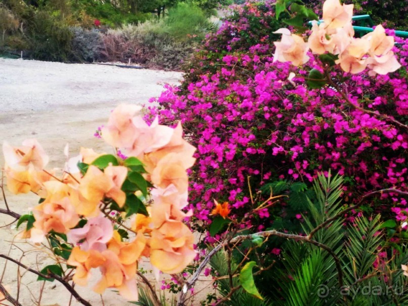 Шалом, Израиль! Часть 4. Мертвое море + СПА Эйн Геди.