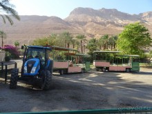 Шалом, Израиль! Часть 4. Мертвое море + СПА Эйн Геди.