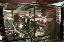 Шалом, Израиль! Часть 4. Мертвое море + СПА Эйн Геди.