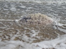 Шалом, Израиль! Часть 4. Мертвое море + СПА Эйн Геди.