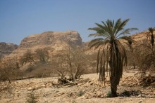 Шалом, Израиль! Часть 4. Мертвое море + СПА Эйн Геди.