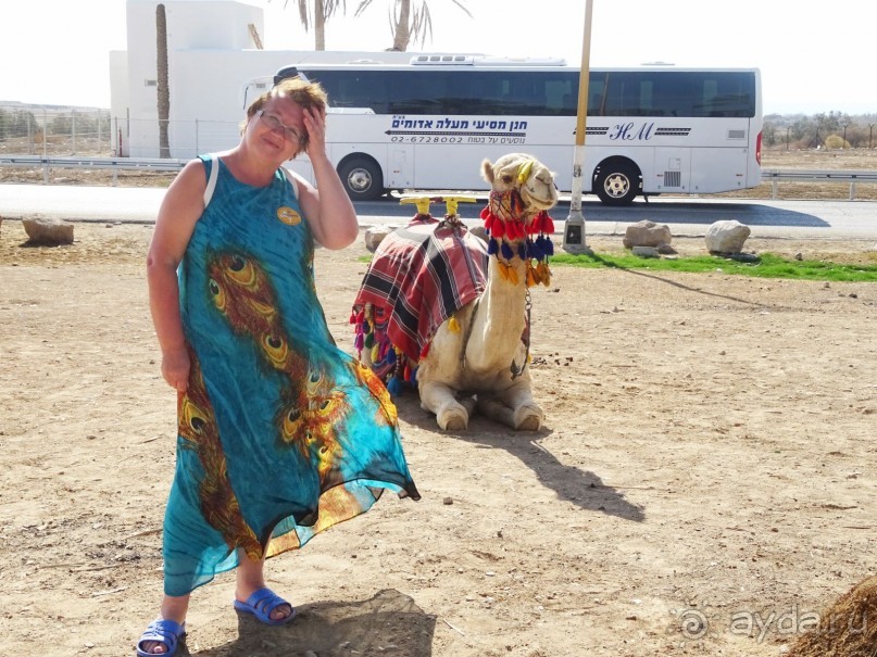 Шалом, Израиль! Часть 4. Мертвое море + СПА Эйн Геди.