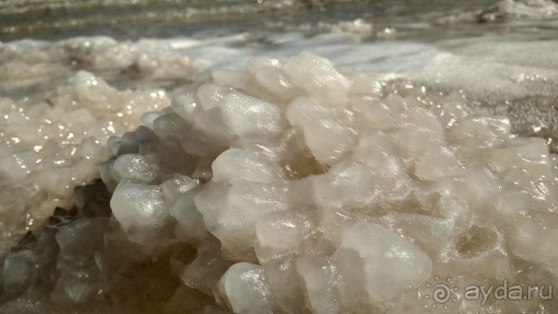 Шалом, Израиль! Часть 4. Мертвое море + СПА Эйн Геди.